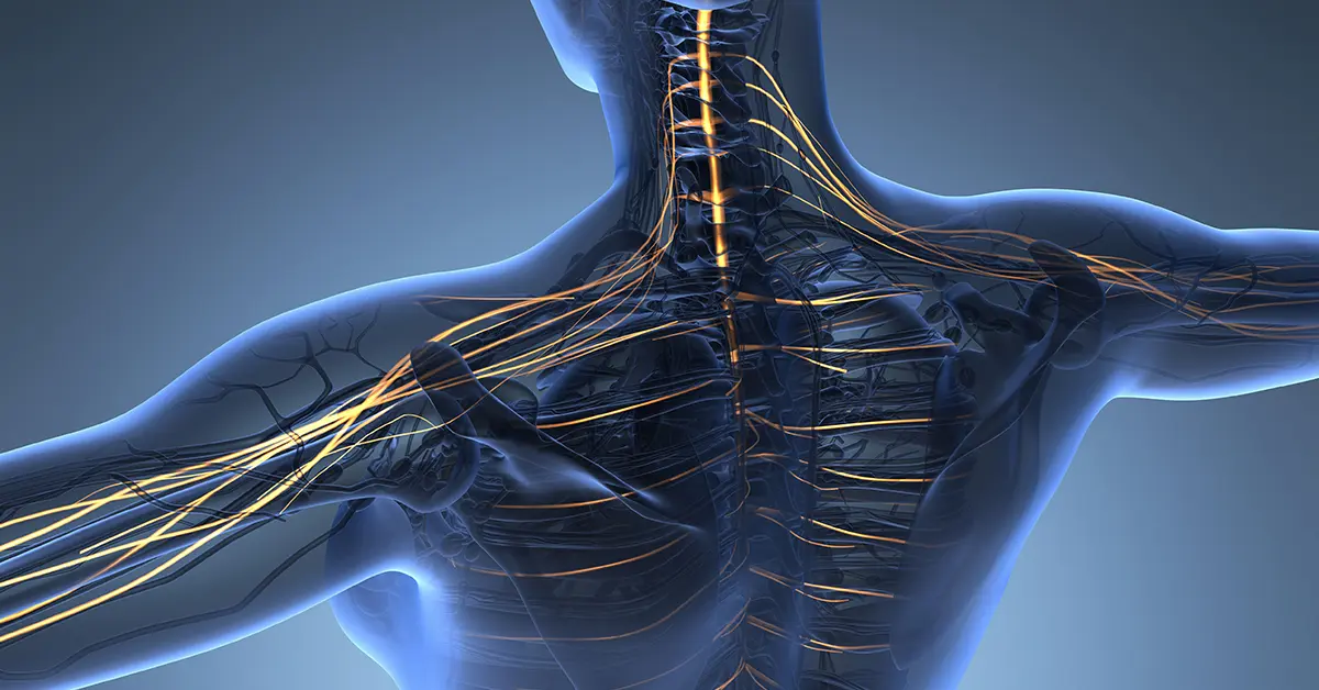 pinched nerve tingling sensation