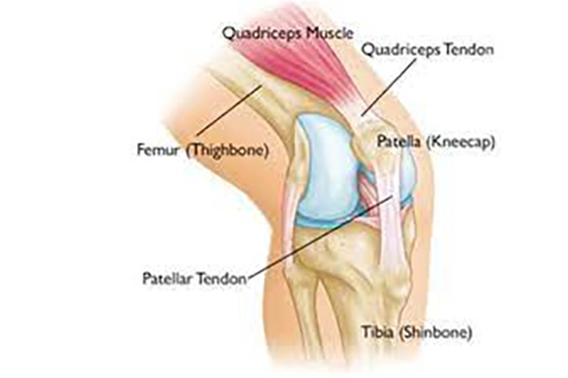 Knee injury